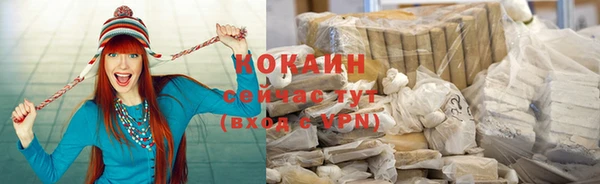 хмурый Арсеньев