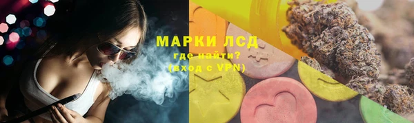 хмурый Арсеньев