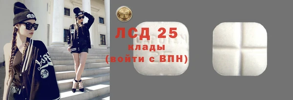 хмурый Арсеньев