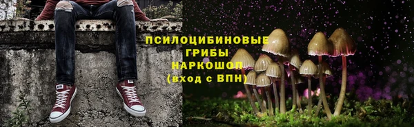 хмурый Арсеньев