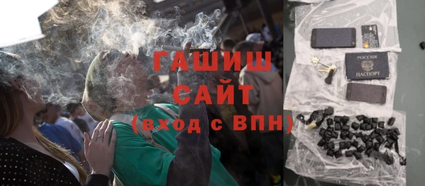 хмурый Арсеньев