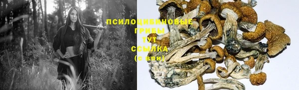 хмурый Арсеньев